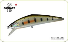 Smith D-Contact 110, 33 Salmon
